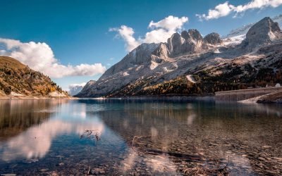 Stages of Life Psychology: The 4 Phases of Personal Growth and How to Move Forward
